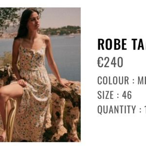 Sezane Tamara dress size 46 (14 US)